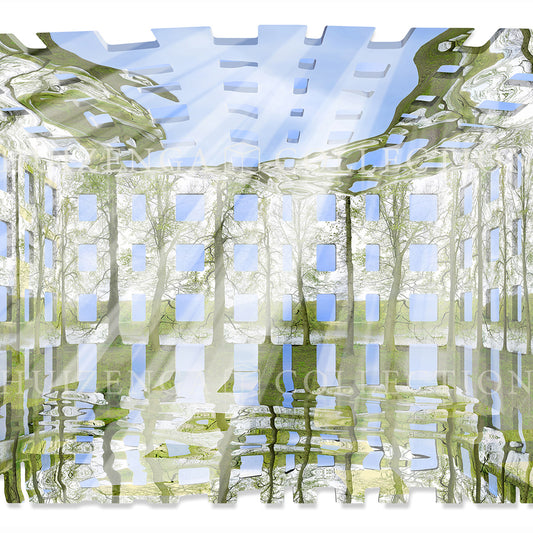 Close-up detail of Atlantis Risorta by Lisette Huizenga, showing light rays, reflections on water and the organic merging of structure and trees.