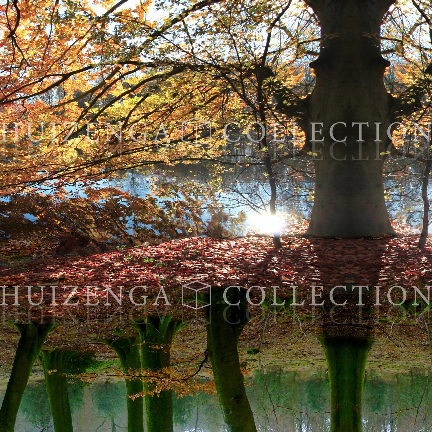 Detail van Insight Landscape II – reflecterende bomen en herfstkleuren