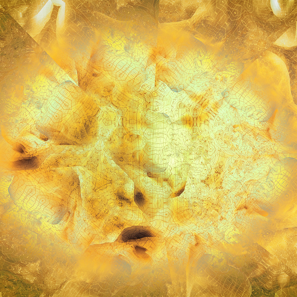 Close-up detail of Metakosmia gold XI – intricate golden organic and geometric patterns with radiant light in this metaphysical digital painting by Lisette Huizenga.