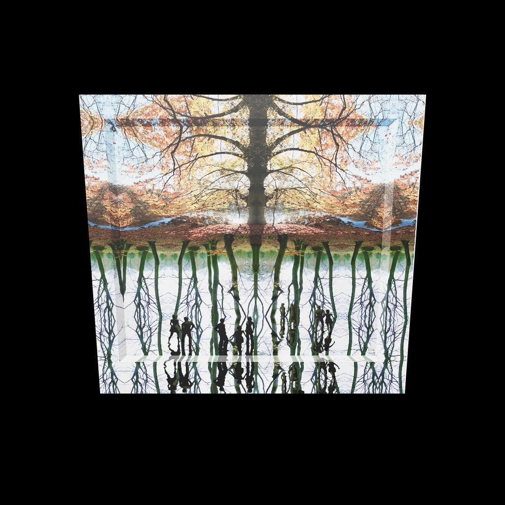 AR view van Insight Landscape II – zie hoe dit mystieke boslandschap met reflecties in jouw eigen ruimte tot leven komt
