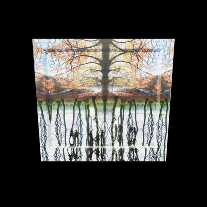 AR view van Insight Landscape II – zie hoe dit mystieke boslandschap met reflecties in jouw eigen ruimte tot leven komt